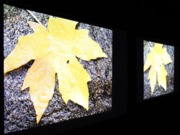 NEC M2ϵͶӰC(j)ͶDƬ(du)ȣɫM(zhn)