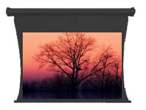 [��Ӎ]��ƽ����ͶӰĻHV