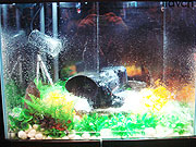 索尼展示防水?dāng)z錄機(jī)