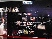 三菱電機(jī)專業(yè)OLED顯示屏點(diǎn)綴展會(huì)