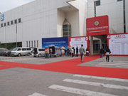 通向各個(gè)展館的紅毯 好似星光大道