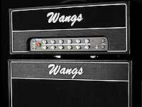 BiyangWangs VT-50H Blac吉他音箱